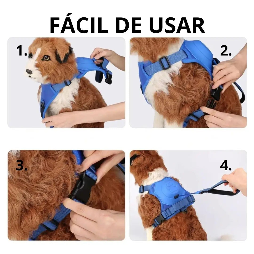 Arnes para perro con correa retráctil