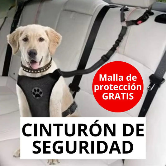 Cinturón de seguridad para perros+REGALO