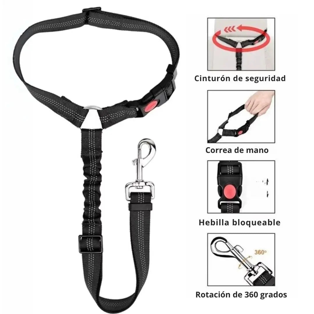 Cinturón de seguridad para perros+REGALO