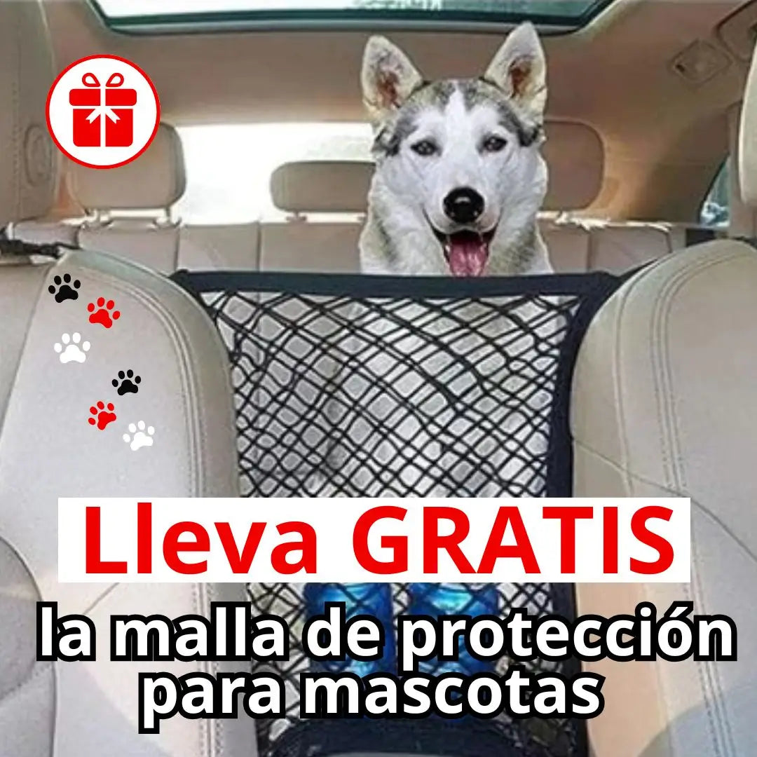 Cinturón de seguridad para perros+REGALO