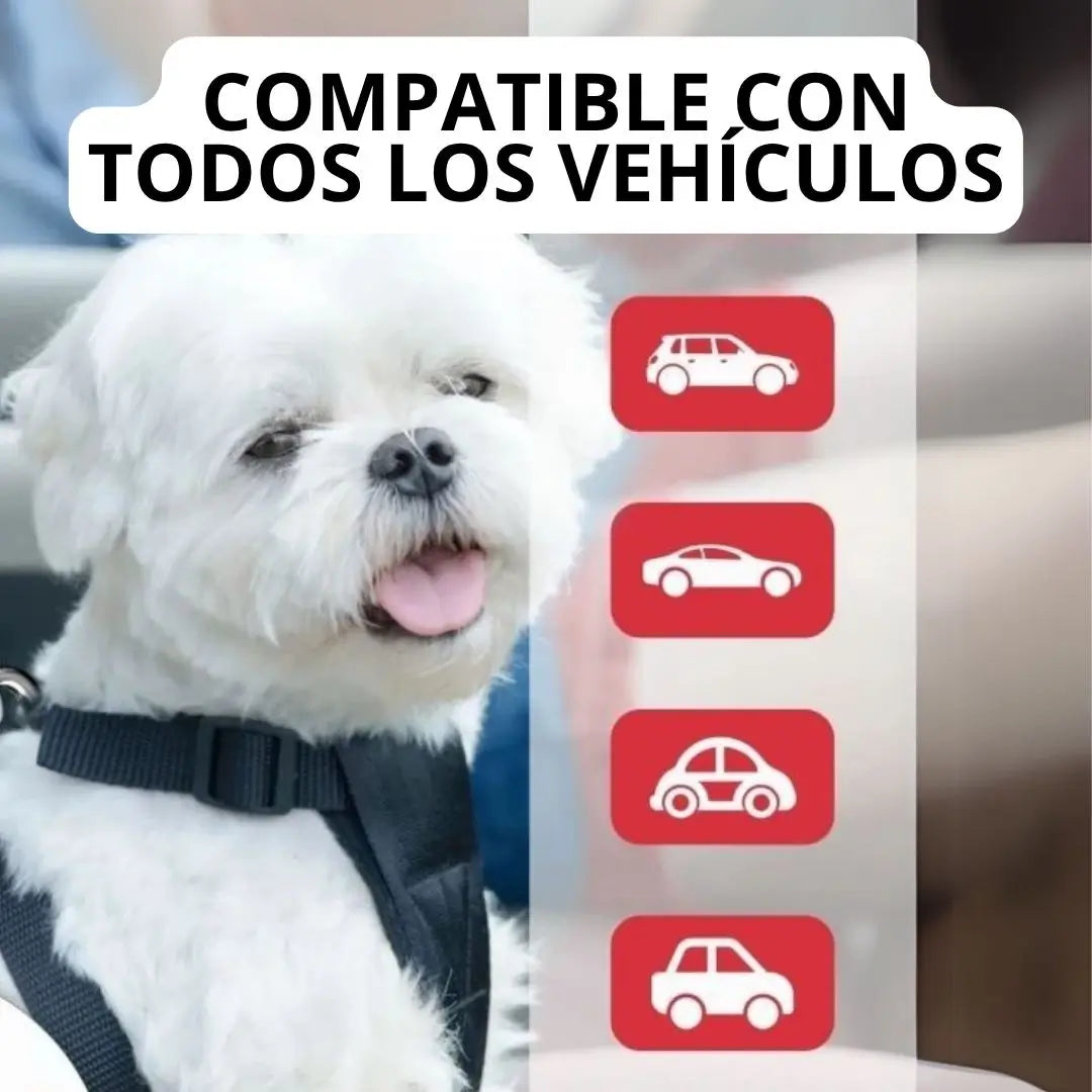Cinturón de seguridad para perros+REGALO
