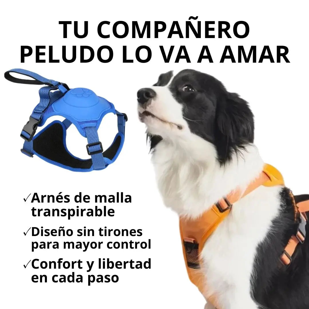 Arnes para perro con correa retráctil