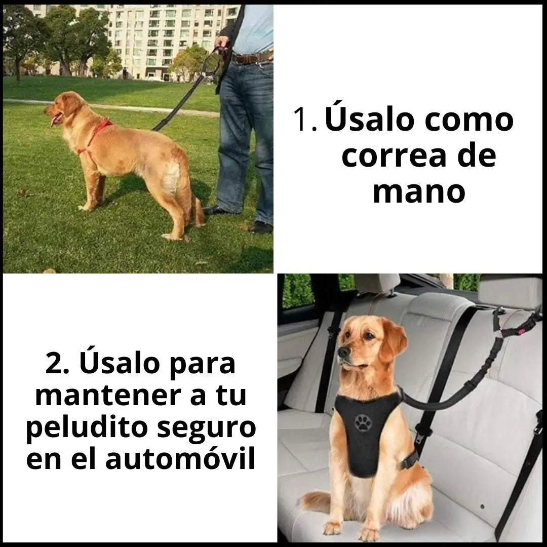 Cinturón de seguridad para perros+REGALO