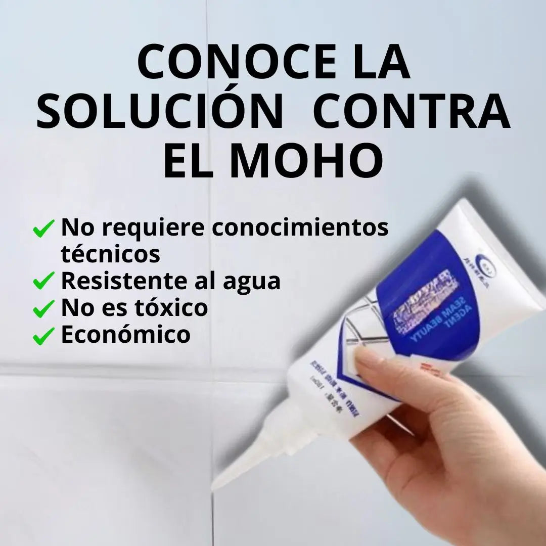 Encabezado