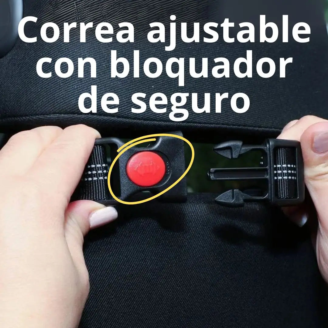 Encabezado