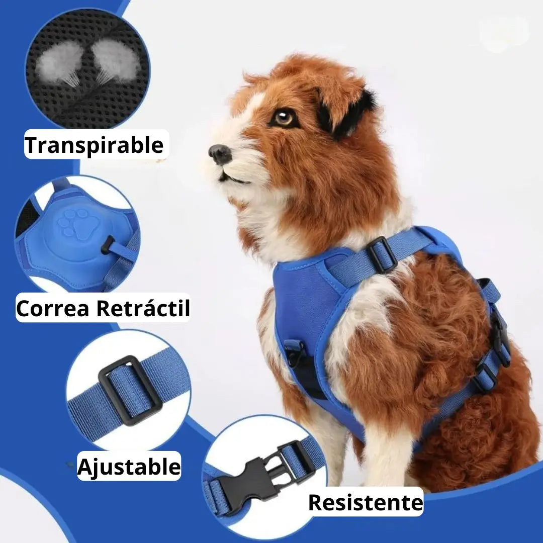 Arnes para perro con correa retráctil