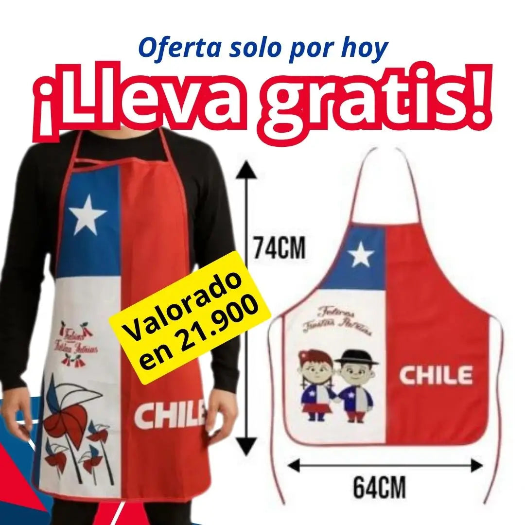 Parrilla de acero portatil+ regalo