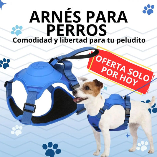 Arnes para perro con correa retráctil