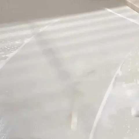 Encabezado