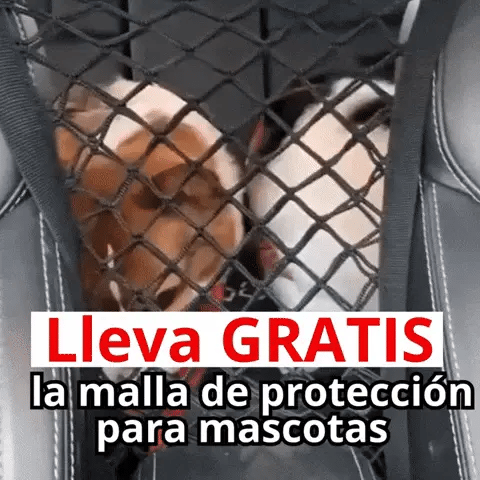 Encabezado