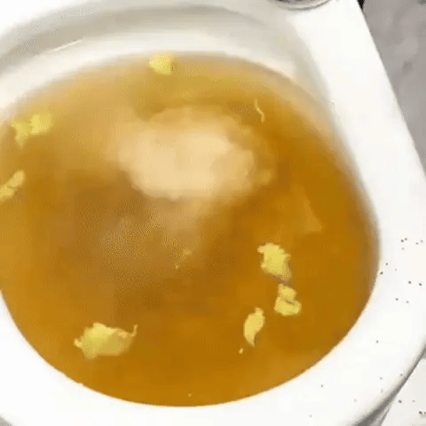Encabezado